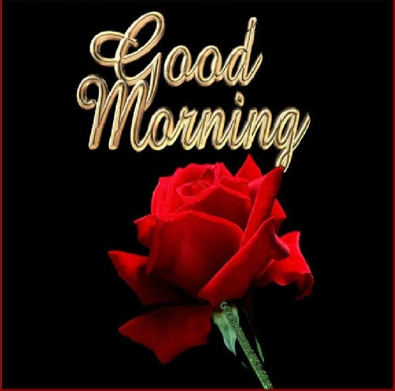 शुभ प्रभात :