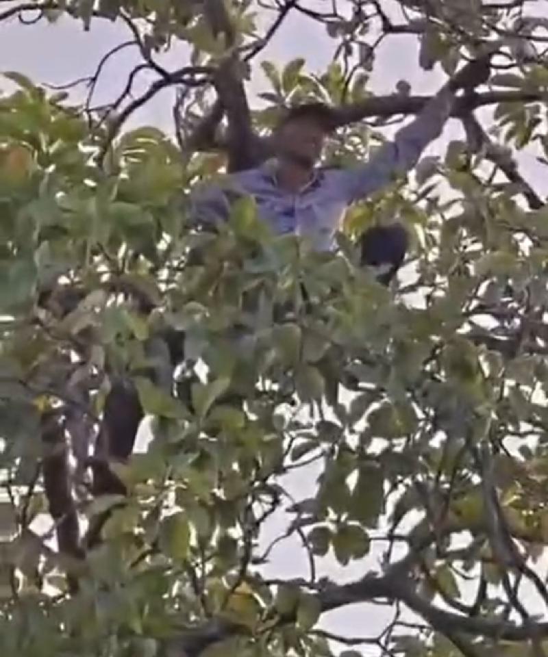 शहर: