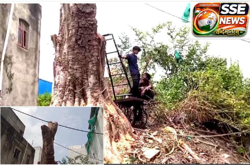 देश: